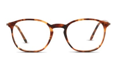 Giorgio Armani AR7213