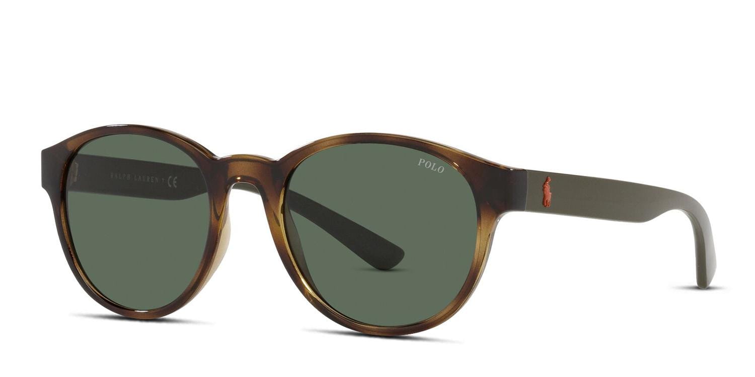 Polo Ralph Lauren PH4176 Brown/Tortoise/Green Prescription Sunglasses