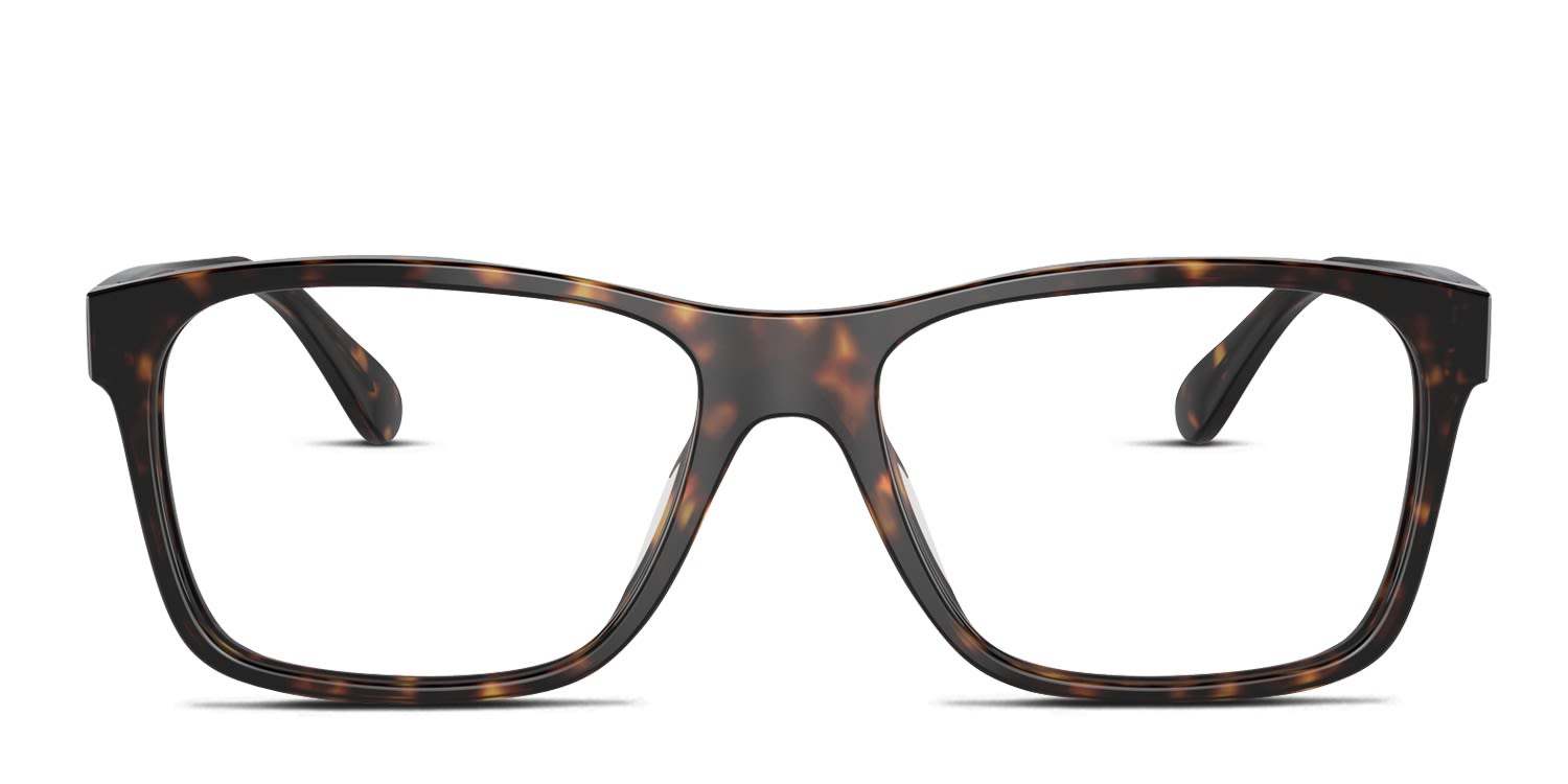 Ralph Lauren RL6240U Tortoise glasses - Tortoise - Frontal View