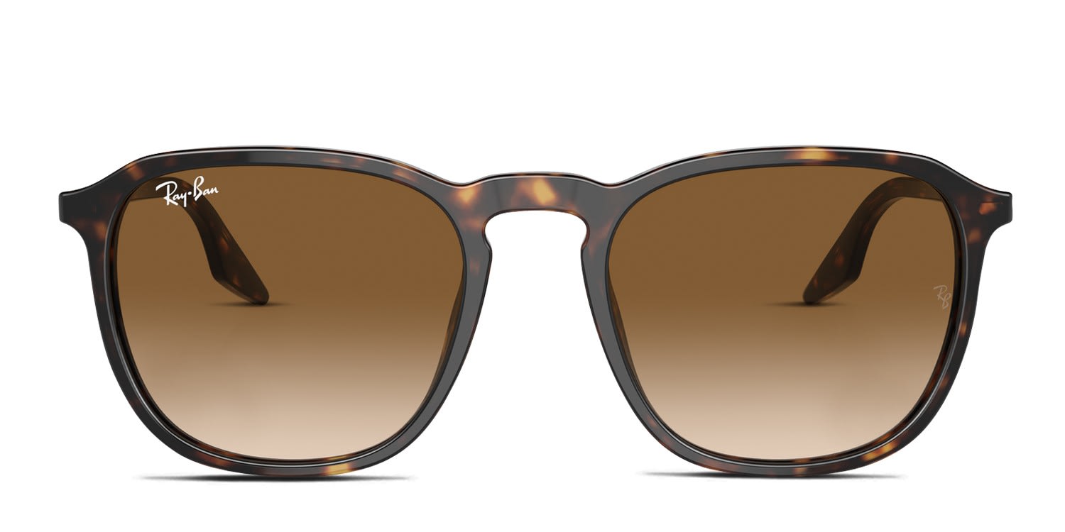 Ray-Ban RB2203 Tortoise, Brown glasses - Tortoise / Brown - Frontal View