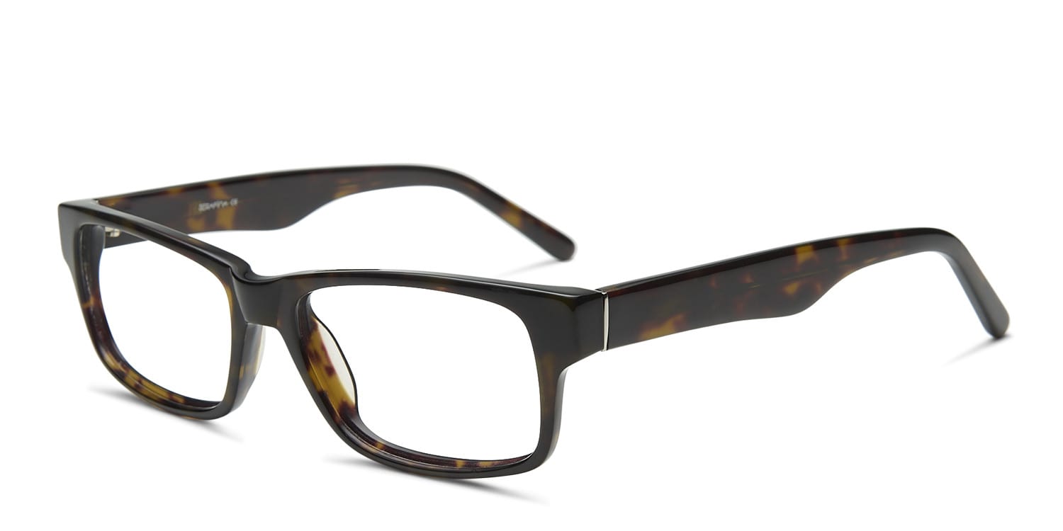 Champ Dark Tortoise
