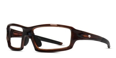 SafeVision Ranger