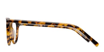 Addison Tortoise glasses - Tortoise - Side View