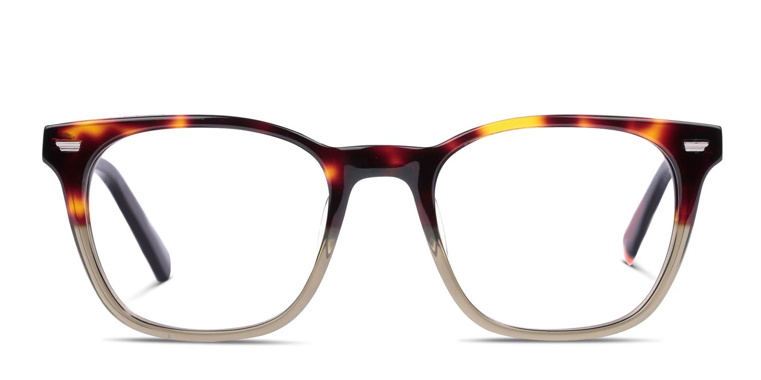 Superdry SDO-3065 Tortoise, Green glasses - Tortoise / Green - Frontal View