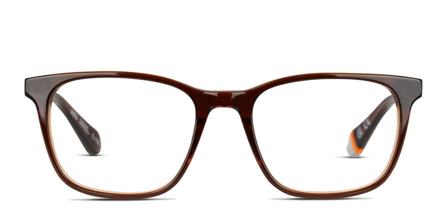 Superdry SDO-3005 Brown glasses - Brown - Frontal View