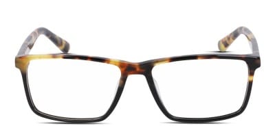 Dragon DR2033