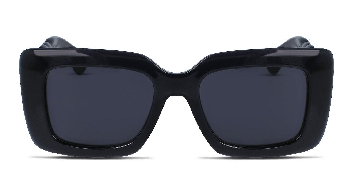 Lanvin LNV642S Gray glasses - Gray - Frontal View