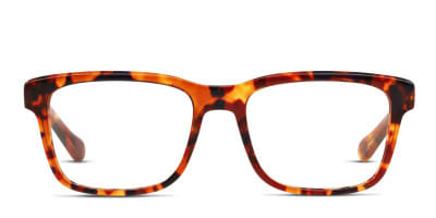 Arnette AN7101 Output