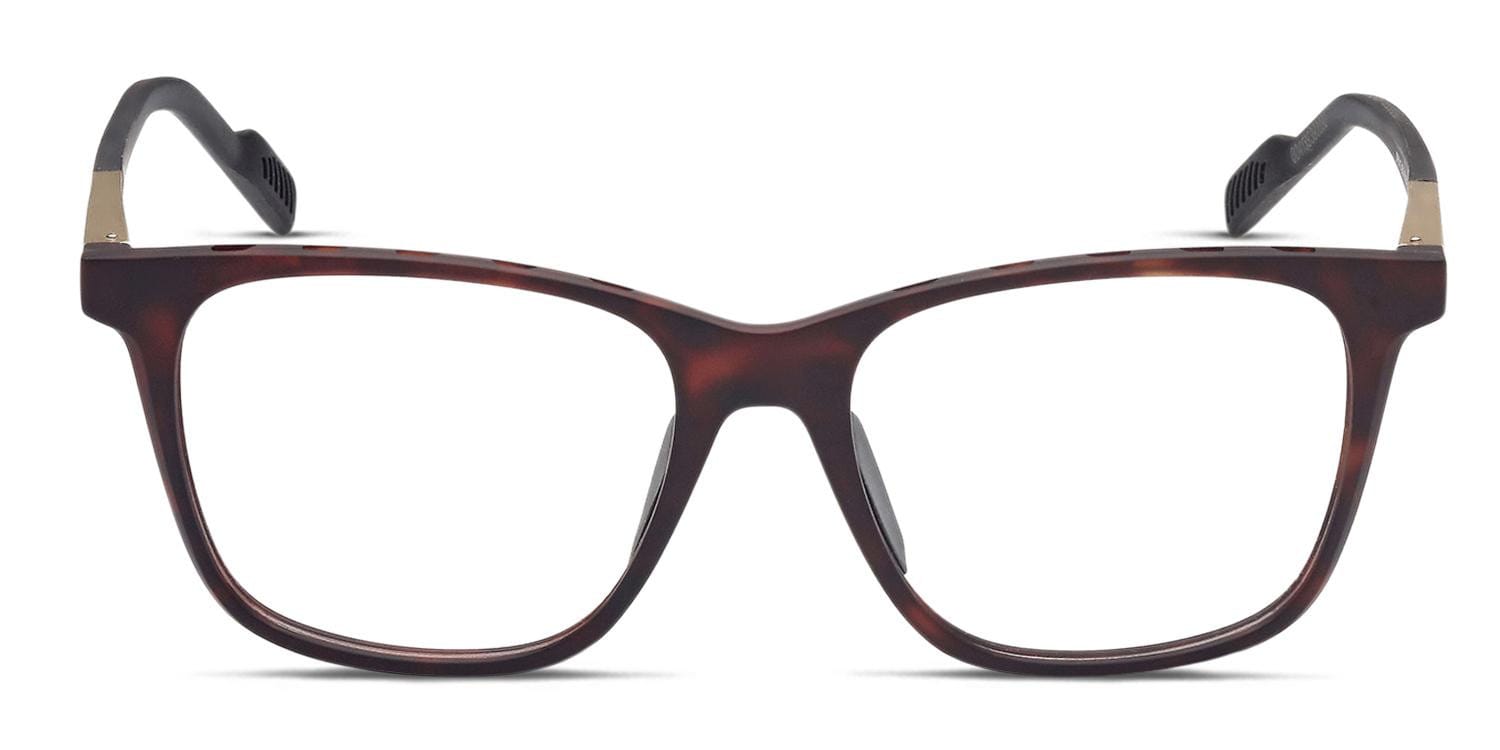 Adidas SP5012 Brown, Tortoise glasses - Brown / Tortoise - Frontal View