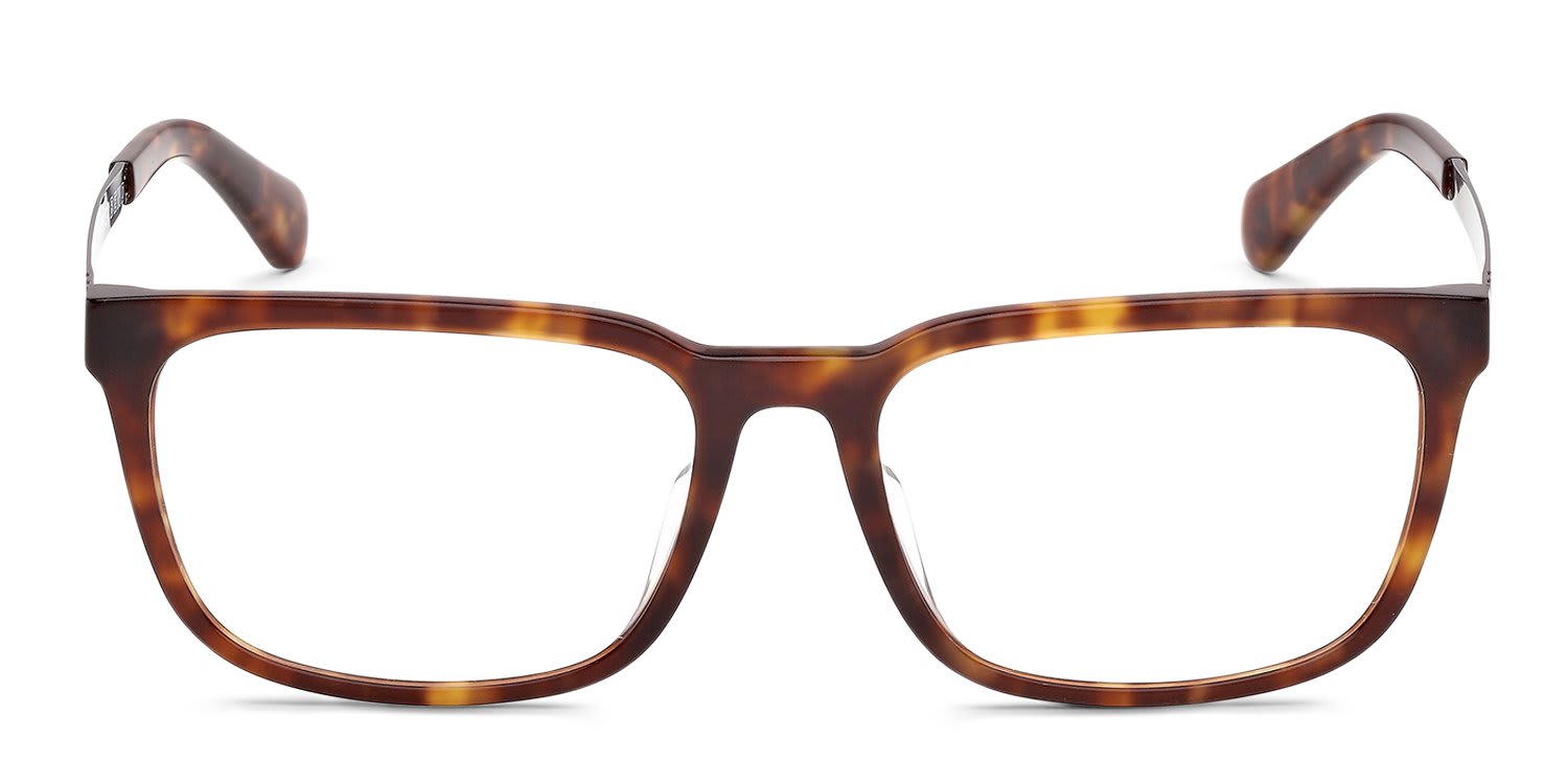Timberland TB50086-H Tortoise glasses - Tortoise - Frontal View
