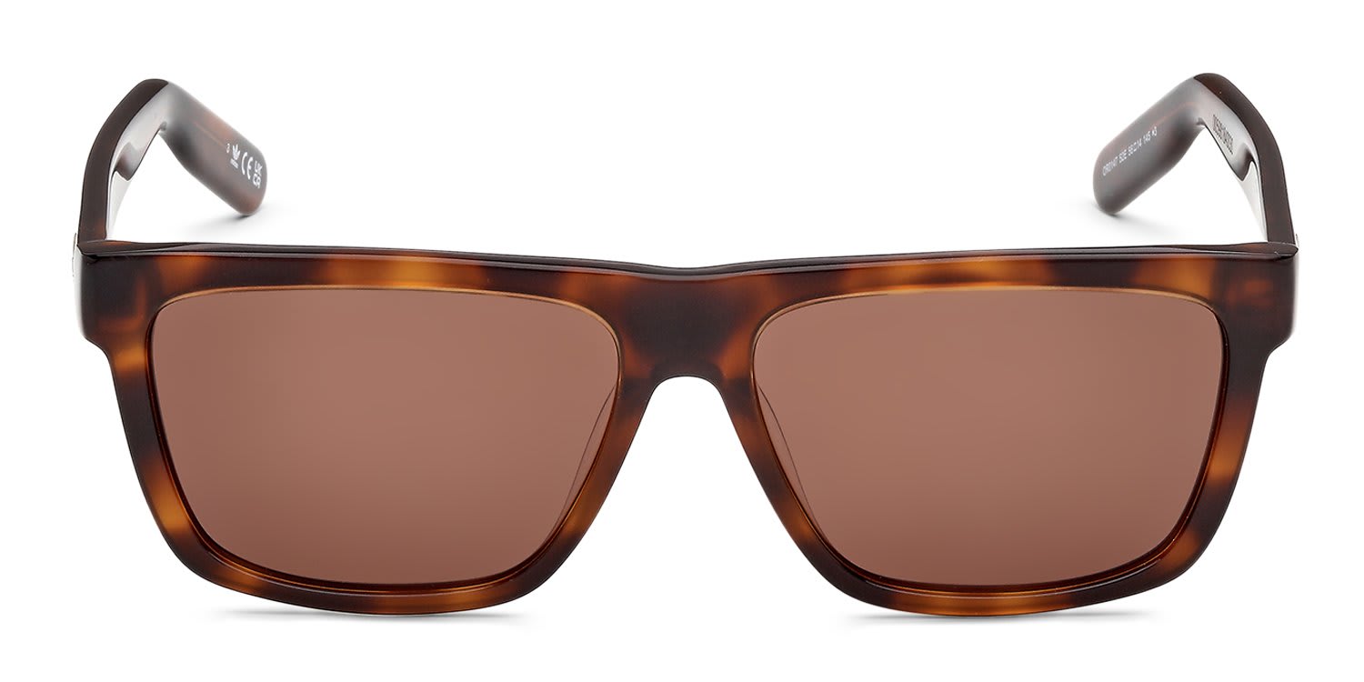 Adidas OR0147 Tortoise, Brown glasses - Tortoise / Brown - Frontal View