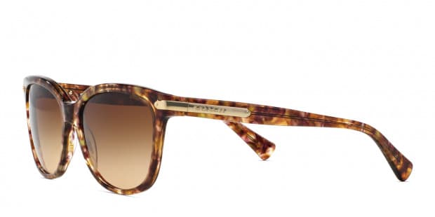 Coach Hc8132 Brown W Brown