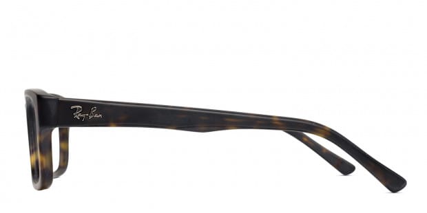 ray ban 5268 tortoise