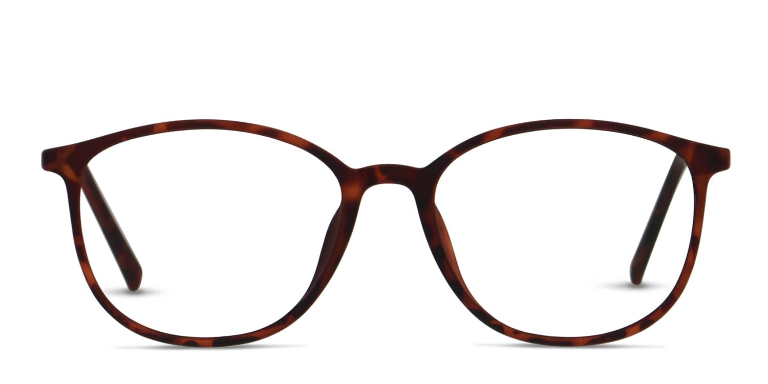 Muse X Hilary Duff Sara Tortoise glasses - Tortoise - Frontal View