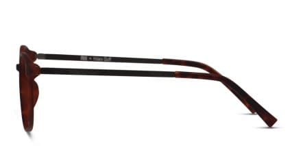 Muse X Hilary Duff Sara Tortoise glasses - Tortoise - Side View
