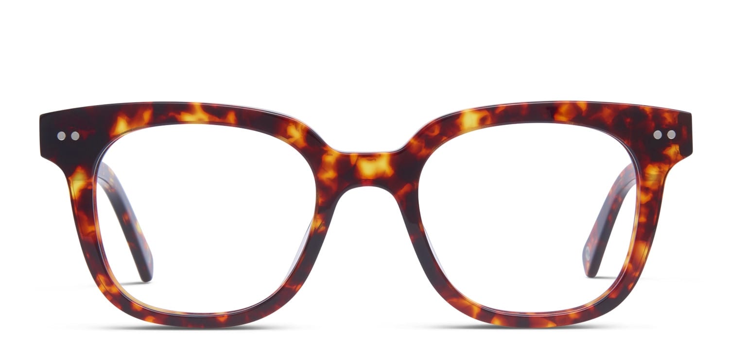 Muse X Hilary Duff Clara Tortoise glasses - Tortoise - Frontal View