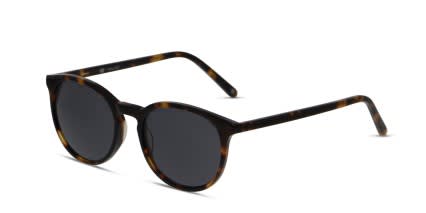 Muse X Hilary Duff Eva Tortoise glasses - Tortoise - Angle View