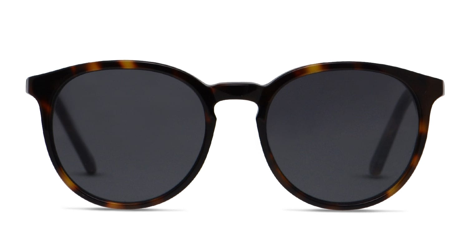 Muse X Hilary Duff Eva Tortoise glasses - Tortoise - Frontal View