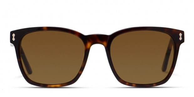 Muse Harve Tortoise