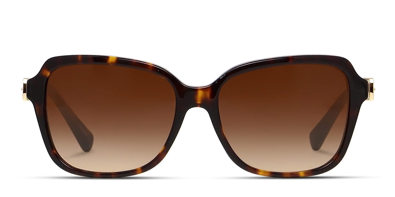 Coach HC8179 Tortoise, Brown glasses - Brown / Tortoise - Frontal View