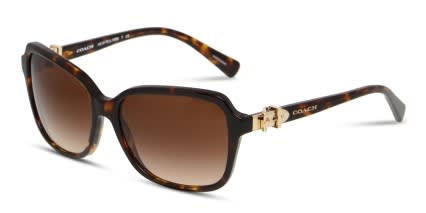 Coach HC8179 Tortoise, Brown glasses - Brown / Tortoise - Angle View