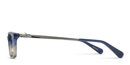 Coach HC6110 Blue, Beige, Glitter glasses - Blue / Beige / Glitter - Side View