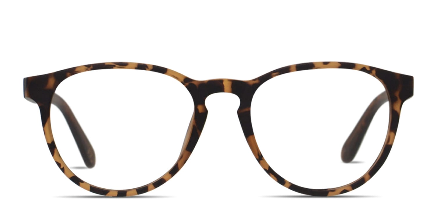 Superdry SDO-Katlyn Tortoise glasses - Tortoise - Frontal View
