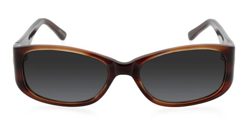 Spruce Brown glasses - Brown - Frontal View