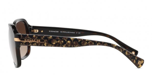 Coach amber sunglasses online