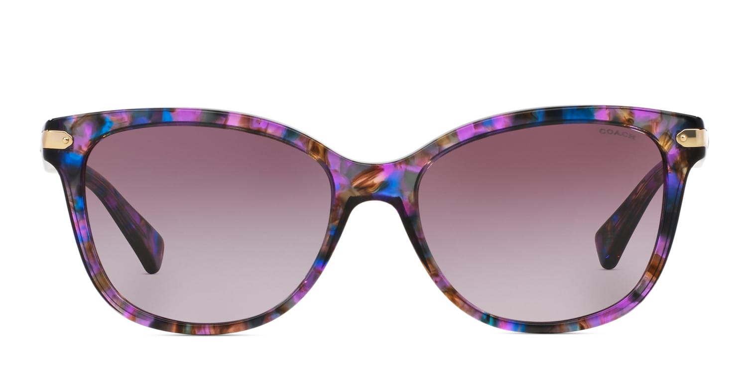 Coach HC8132 Purple, Multicolor glasses - Purple / Multicolor - Frontal View