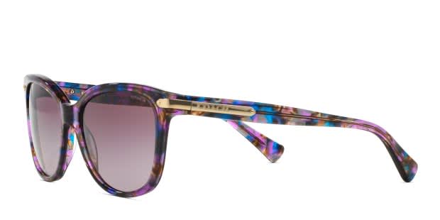 Coach HC8132 Purple/Multicolor Sunglasses display picture 3