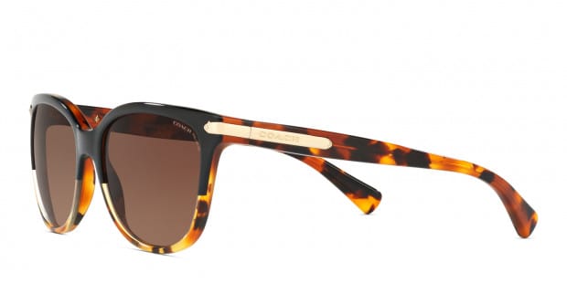Coach HC8132 Black Tortoise w Brown
