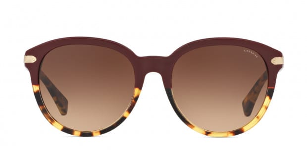 Coach prescription sunglasses canada store