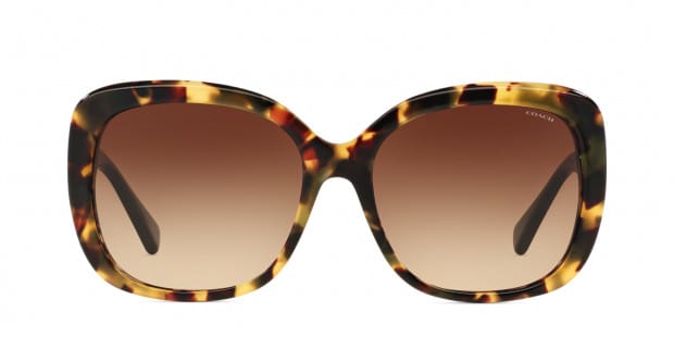 Coach HC8158 Tortoise w Brown Prescription Sunglasses 50 Off Lenses