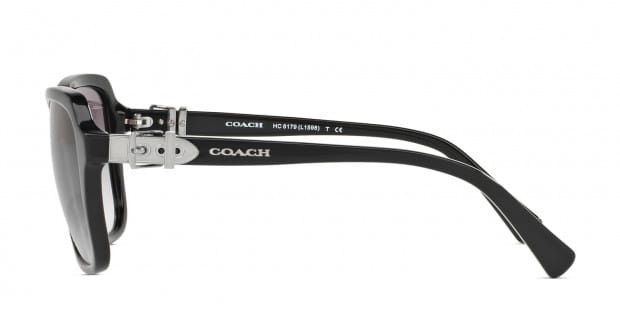 Coach sunglasses hc8179 deals