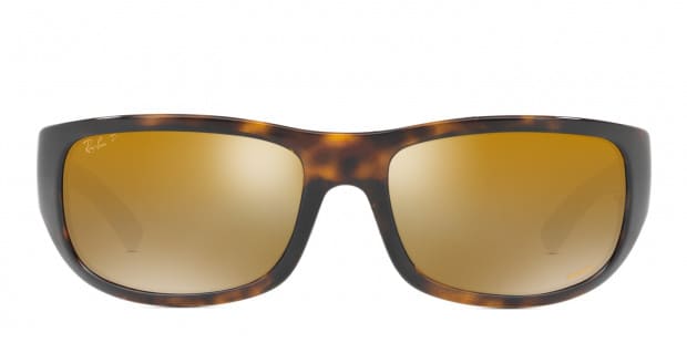 Ray Ban 4282CH Tortoise w Brown Gold
