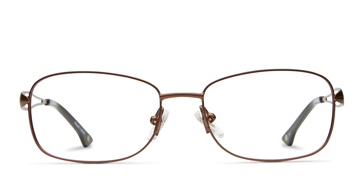 Pola Brown glasses - Brown - Frontal View