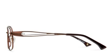 Pola Brown glasses - Brown - Side View