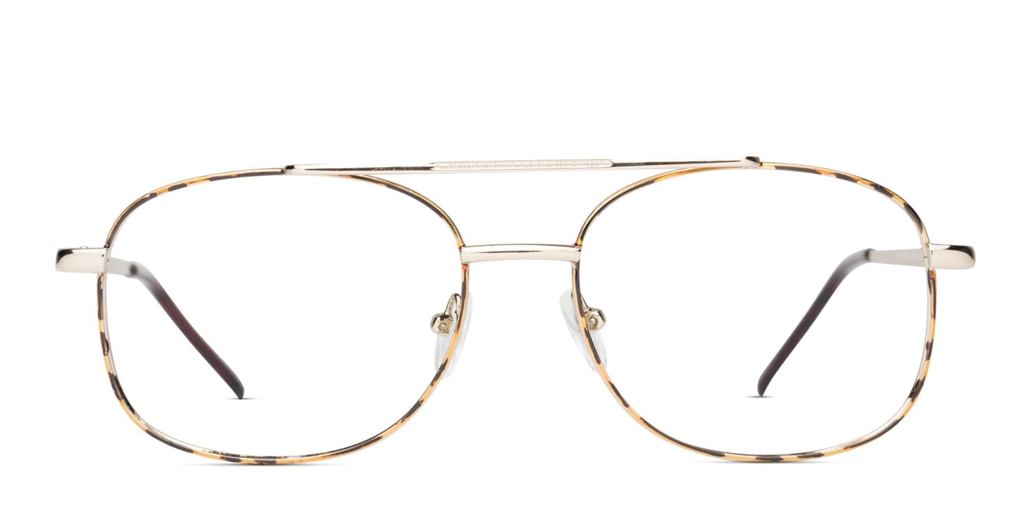 Samuel Tortoise w/Gold glasses - Tortoise / Gold - Frontal View