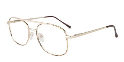 Samuel Tortoise w/Gold glasses - Tortoise / Gold - Angle View