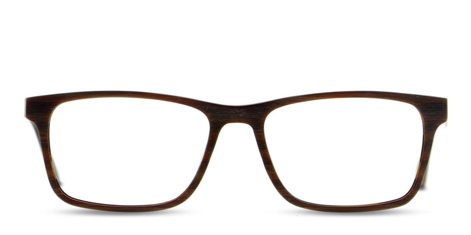 Galan Brown/Gold glasses - Brown / Gold - Frontal View