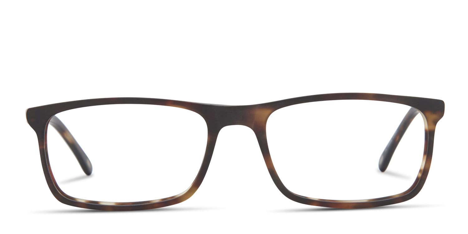 Gellert Tortoise glasses - Tortoise - Frontal View