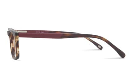Gellert Tortoise glasses - Tortoise - Side View