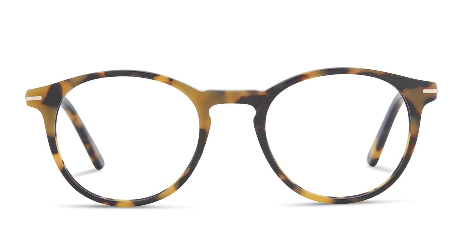 Colin Tortoise glasses - Tortoise - Frontal View