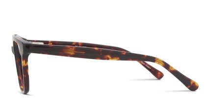 Minerva Tortoise glasses - Tortoise - Side View
