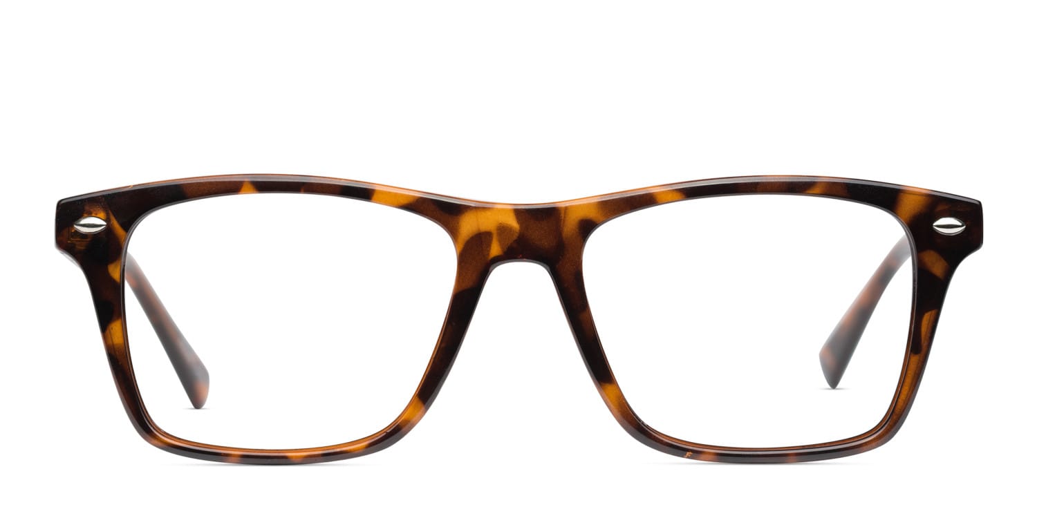 Flaubert Tortoise glasses - Tortoise - Frontal View