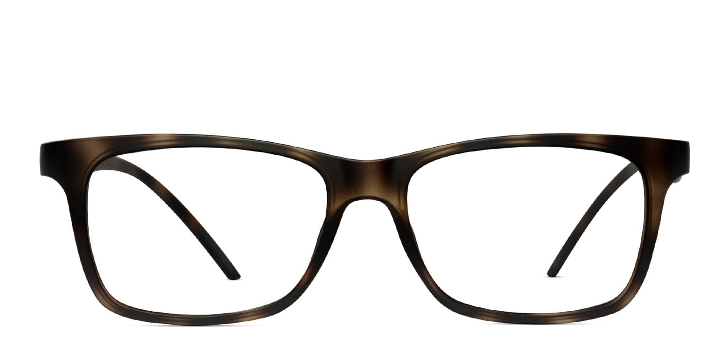 Richmond Tortoise glasses - Tortoise - Frontal View