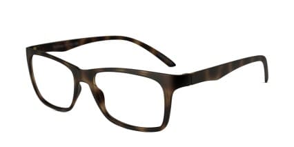 Richmond Tortoise glasses - Tortoise - Angle View