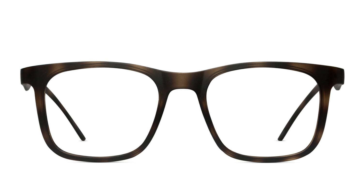 Oslo Tortoise glasses - Tortoise - Frontal View