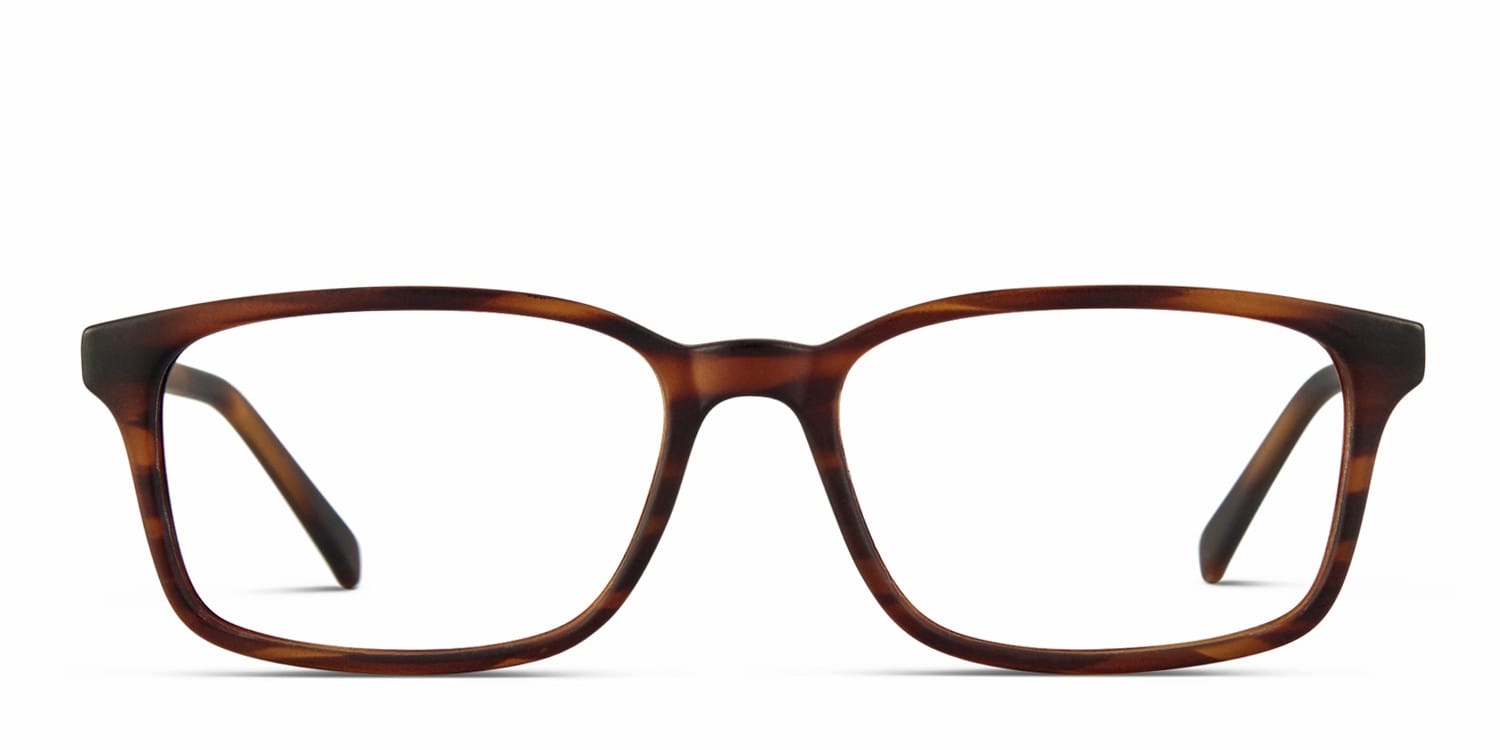 Revel Orson Tortoise glasses - Tortoise - Frontal View